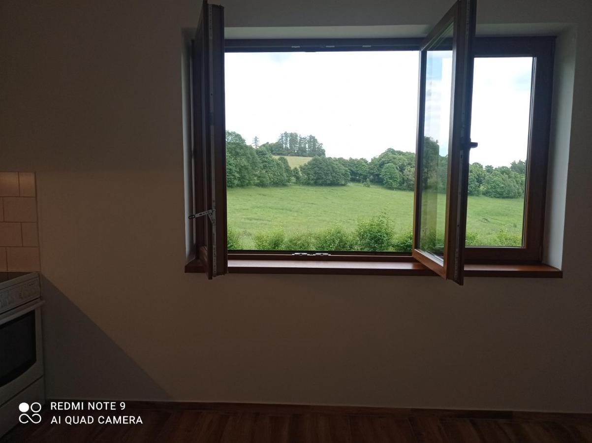 Apartmany U Becova Nad Teplou Bečov nad Teplou Exterior foto