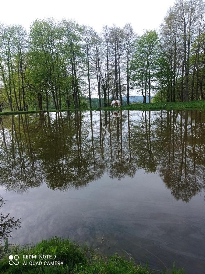 Apartmany U Becova Nad Teplou Bečov nad Teplou Exterior foto
